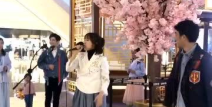魔术卧槽小姐姐,揭秘神秘魔术背后的故事